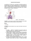 VARIACION DE LA TASA DE RESPIRACION