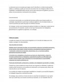 Organizacion empresarial.