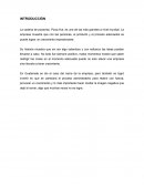 Investigación Pizza Hut