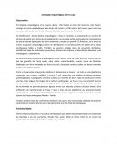 Complejo Arqueológico Cerro Luya