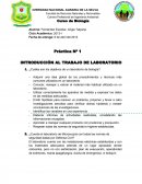 BIOLOGIA. INTRODUCCIÓN AL TRABAJO DE LABORATORIO