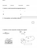 PRUEBA DE LENGUAJE Y COMUNICACIÓN LETRAS