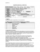 IDENTIFICACIÓN DE LA PRÁCTICA