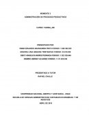 Momento 3 admon de procesos productivos
