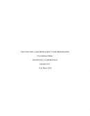 CICLO DE VIDA: FASE MITIGACION Y FASE PREPARACION.