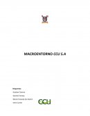 MACROENTORNO CCU S.A