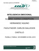 INTELIGENCIA EMOCIONAL. analizaremos acerca de las competencias de la inteligencia emocional