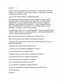 ¿Qué son los arcos branquiales y cuando aparecen?