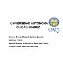 ¿Qué es el Sistema Nacional de Seguridad Pública y quienes la forman?