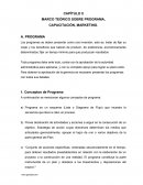 Capacitacion. MARCO TEÓRICO SOBRE PROGRAMA, CAPACITACIÓN, MARKETING.