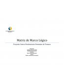 MATRIZ DEL MARCO LÓGICO.