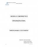 MODELO CIBERNETICO ORGANIZACIONAL “AMERICANINO COSTANERA”