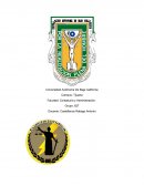 Tijuana. Contaduría y Administración.