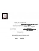 Pensamiento Matemático.