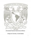 Plantas con la capacidad de detectar contaminantes y plantas que tienen la capacidad de purificar el aire
