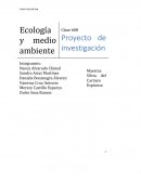 Ecología y medio ambiente. El problema de la contaminación por plástico