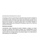 NECESIDADES NUTRICIONALES EN LA SALUD