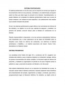 Sistema Penitenciario.