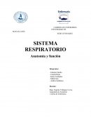 Sistema respiratorio. Carrera de Enfermería.