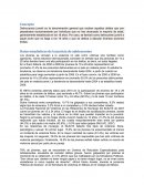 Delincuencia juvenil. Datos estadísticos de la justicia de adolescentes
