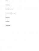 Cuadro Comparativo Características Relevantes