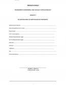 ANEXO Nº 1 DECLARACIÓN SIMPLE DE IDENTIFICACIÓN DEL PROPONENTE