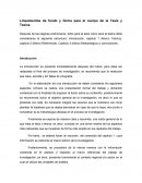 LINEAMIENTOS DE FONDO Y FORMA TESIS Y TESINA