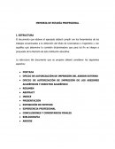 Como hacer una estadia profesional.