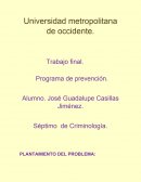 Programa de investigación.