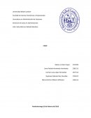 Caso Climatización S.A