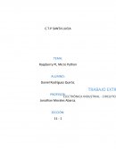 Raspberry PI, Micro Python