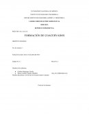 REPORTE EXPERIMENTAL PRÁCTICA No. 4 (LA 2) FORMACIÓN DE COACERVADOS