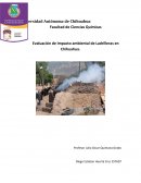 Evaluacion de impacto ambiental de Ladrilleras en Chihuahua.