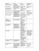 CUADRO COMPARATIVO DE LAS DIFERENTES SOCIEDADES