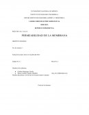 PERMEABILIDAD DE LA MEMBRANA