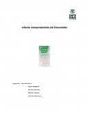 Informe Comportamiento del Consumidor