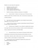 Proceso de organizacion.