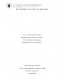 MATERIALES DE LABORATORIO.