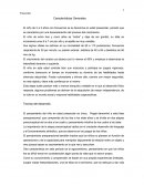 Preescolar. Características Generales