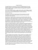 Centrales Hidraulicas.