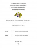 Acrilamidas en papas fritas