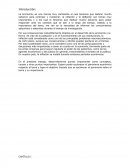 LA INFLACIÓN - ENSAYO