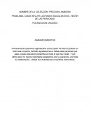 PROBLEMA: COMO INFLUYE LAS REDES SOCIALES EN EL VESTIR DE LAS PERSONAS.