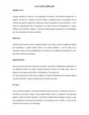 LAS 4 P DEL MERCADO. Nuestro producto es motivar a los calameños con danza y la diversión bohemia de la ciudad