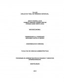 ANALISIS DE TABLA DE DEMANDA INDIVIDUAL