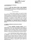 Apelacion de sentencia.