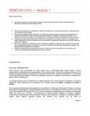 Presentación Bienvenido a Derecho Civil I.