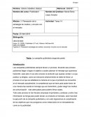 La campaña publicitaria (segunda parte)