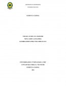 CADENA DE VALOR. RENAL MEDICAL MARKETING LTDA