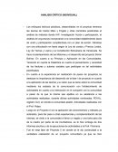 ANALISIS CRÍTICO (INDIVIDUAL)